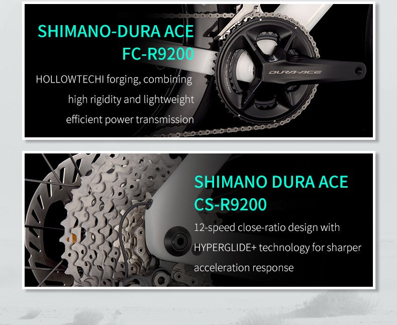 SAVA Carbon Fiber Road Bike