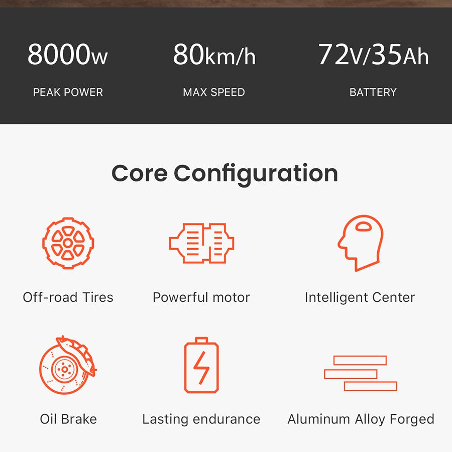 TOURWHEEL Falcon M Off-Road Electric Bike   This