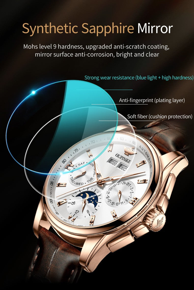 OUPINKE 3189 Luxury Automatic Mechanical Watch