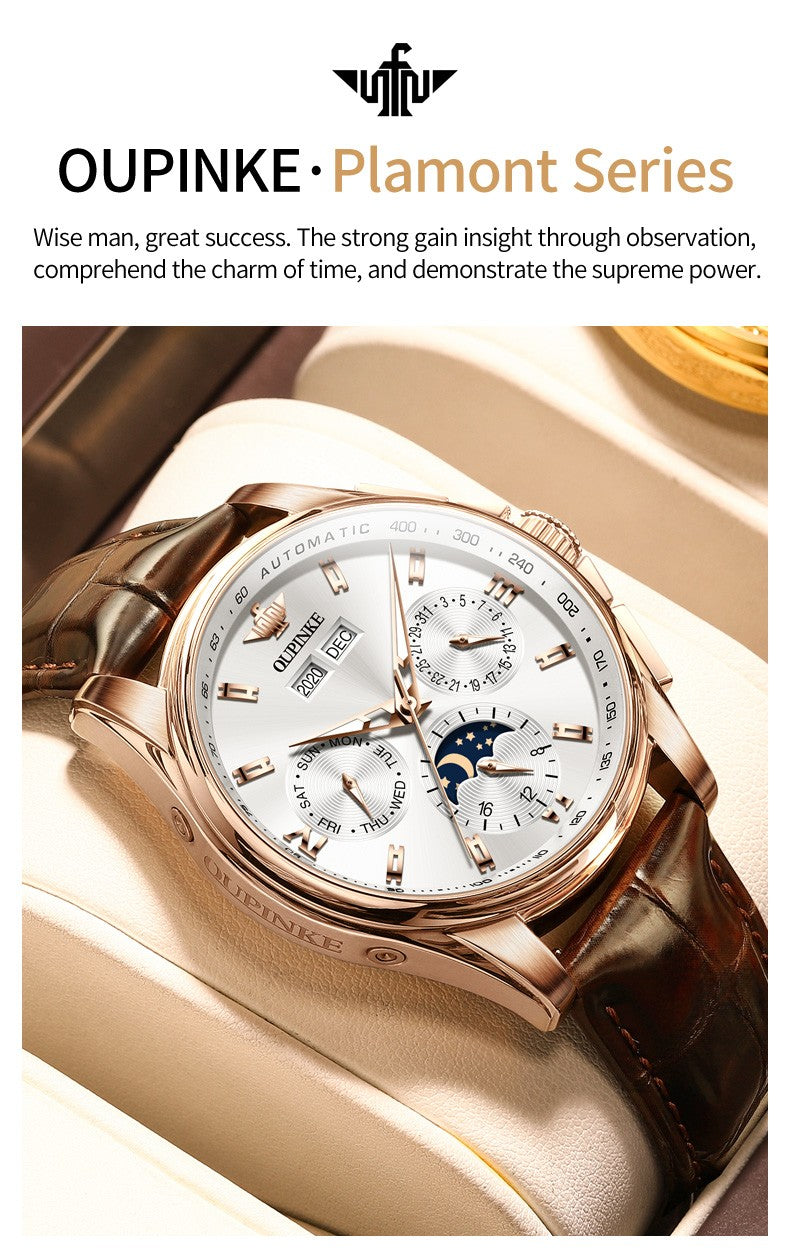OUPINKE 3189 Luxury Automatic Mechanical Watch