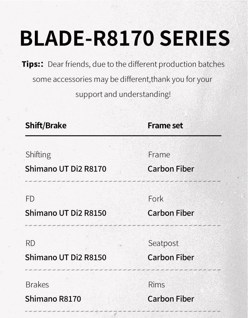SAVA Carbon Fiber Road Bike