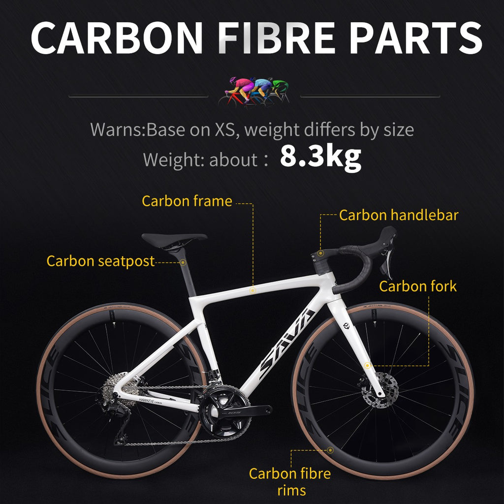 SAVA Carbon Fiber Road Bike F20