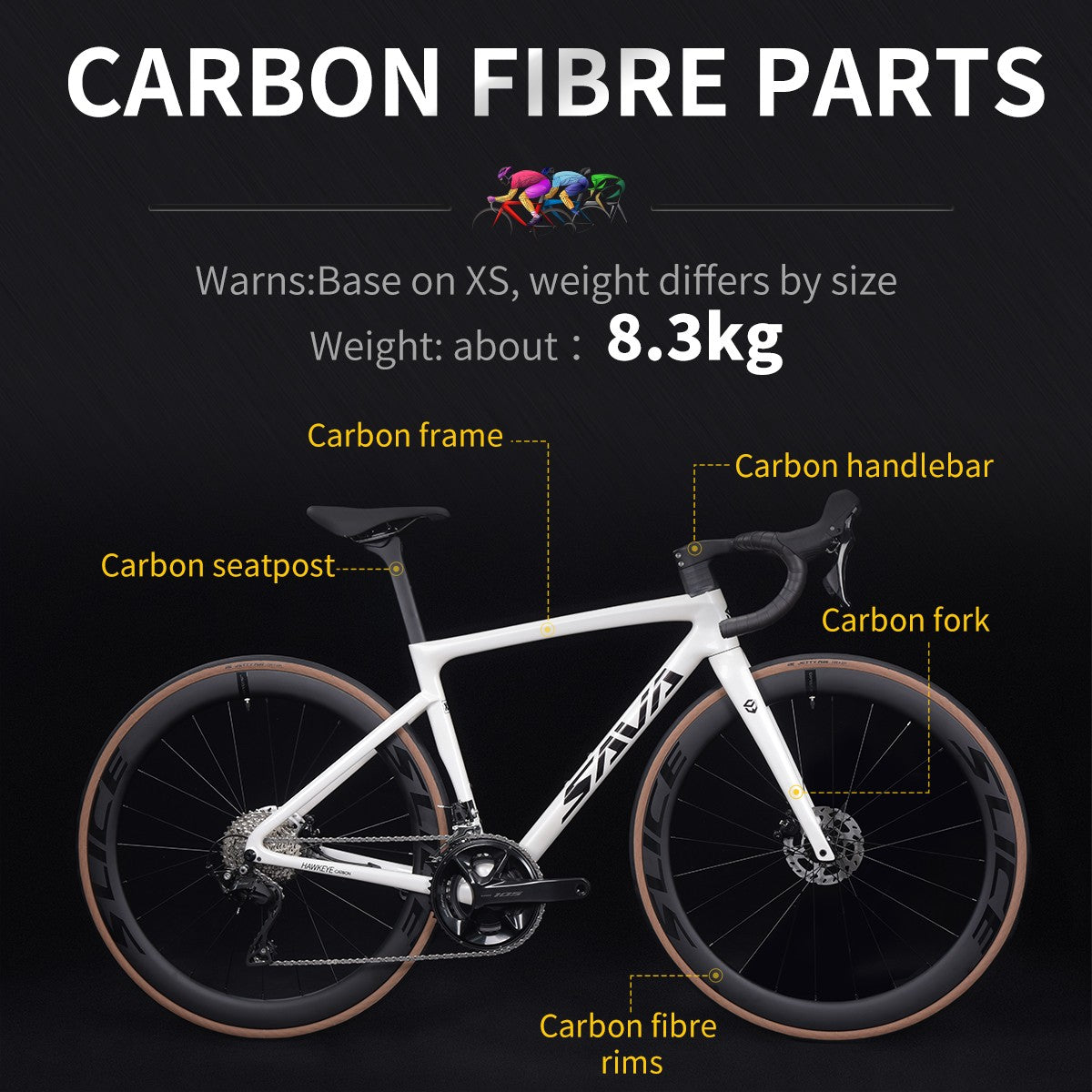 SAVA Carbon Fiber Road Bike F20