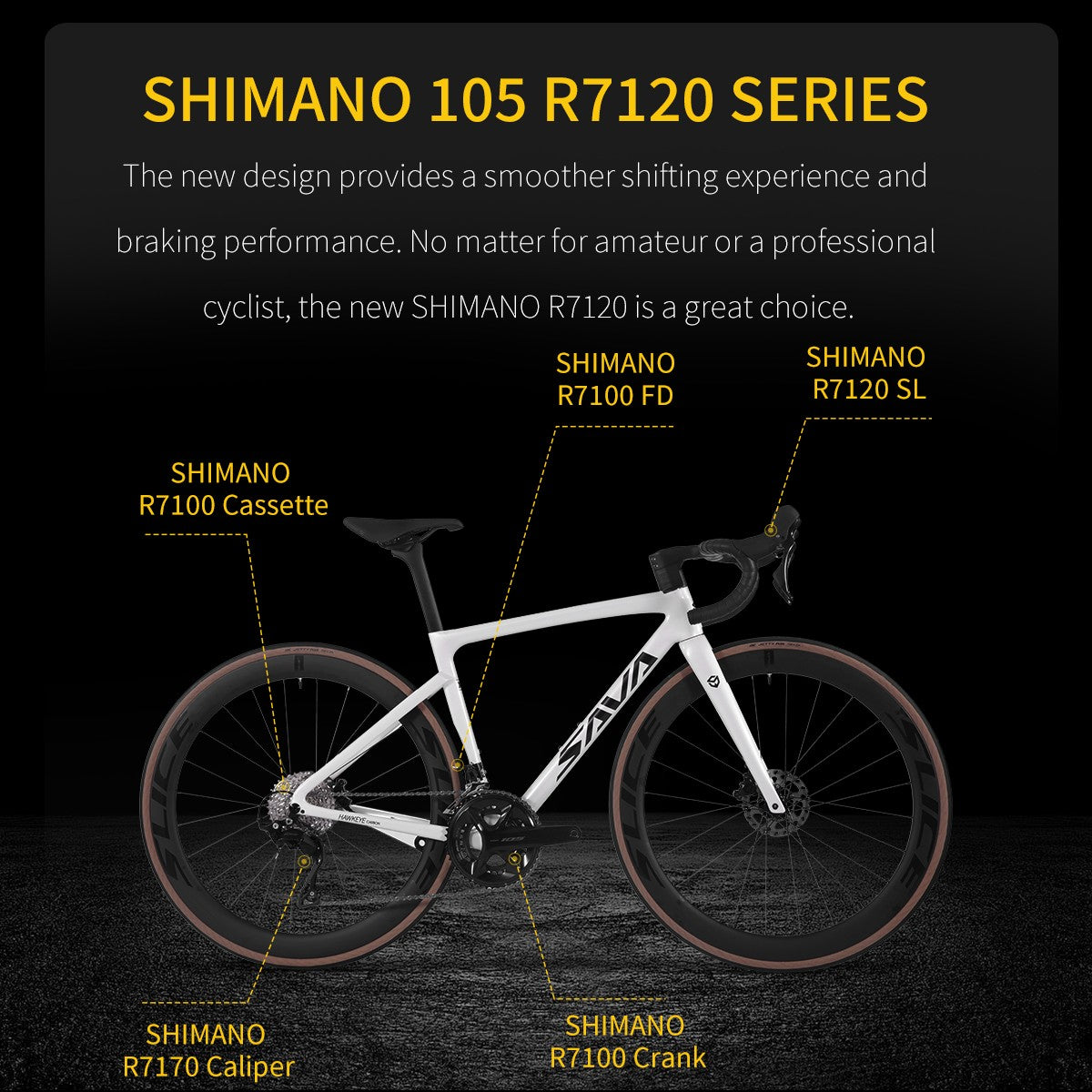 SAVA Carbon Fiber Road Bike F20
