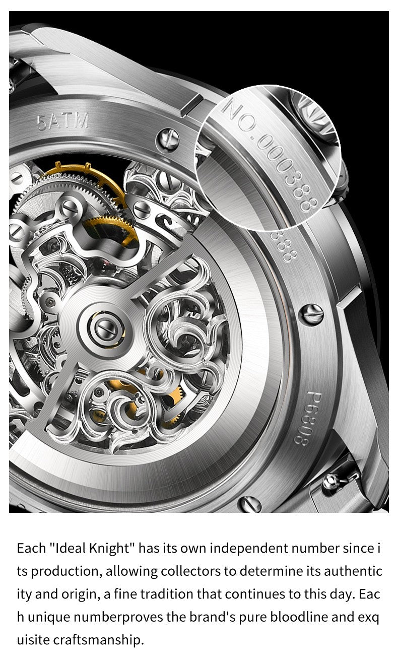 Ideal Knight Top Brand Luxruy Men's Watch Advanced Tourbillon Automatic Mechanical Watch Waterproof Luminous Dual Region Time
