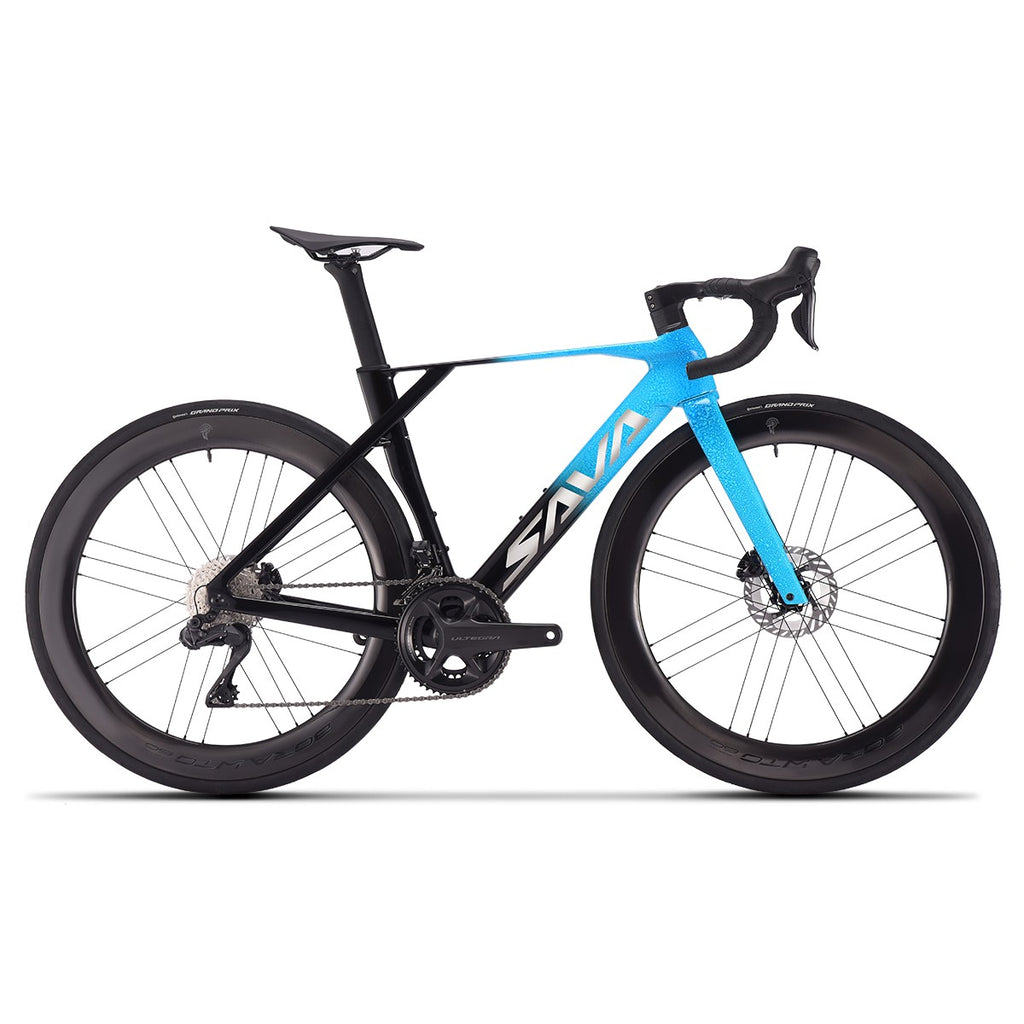 SAVA Carbon Fiber Road Bike