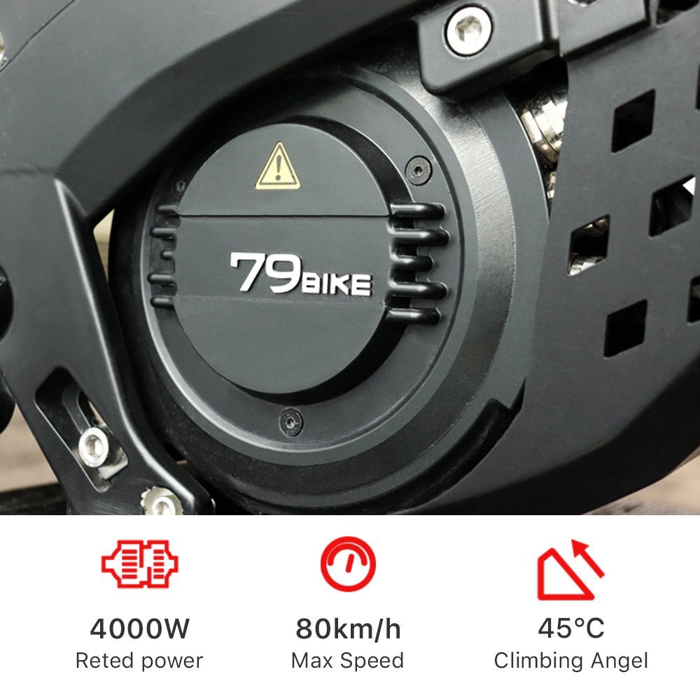 TOURWHEEL Falcon M Off-Road Electric Bike   This