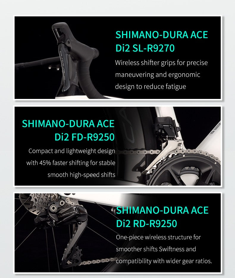 SAVA Carbon Fiber Road Bike