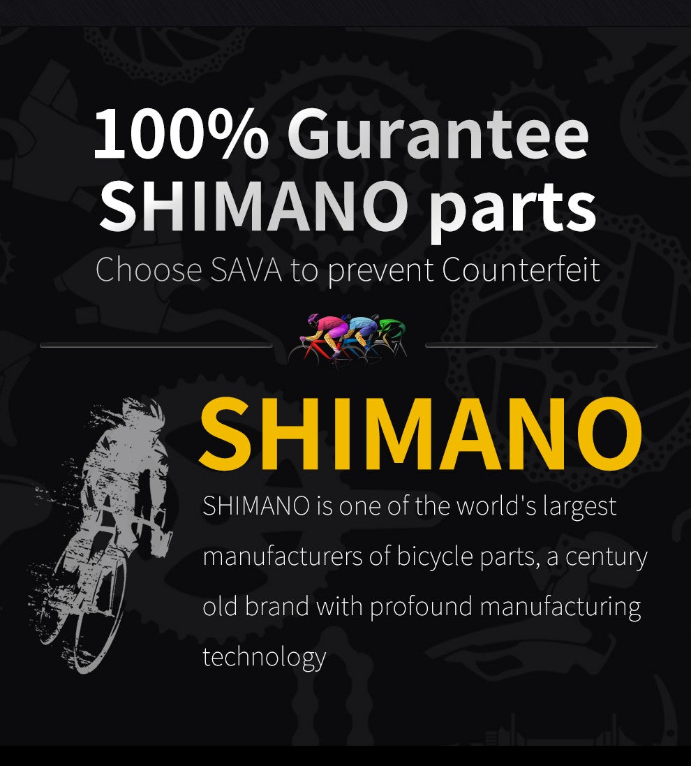 SAVA Carbon Fiber Road Bike F20
