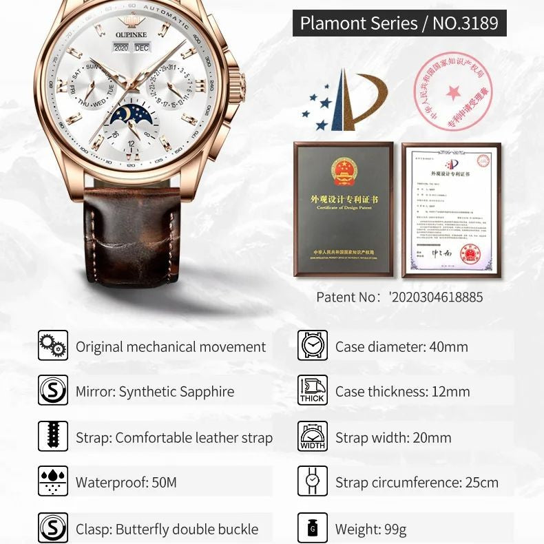 OUPINKE 3189 Luxury Automatic Mechanical Watch