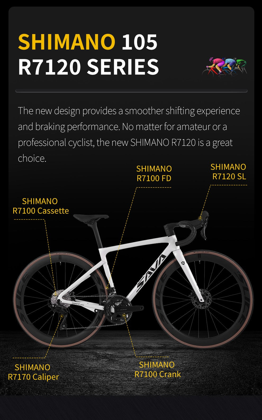 SAVA Carbon Fiber Road Bike F20