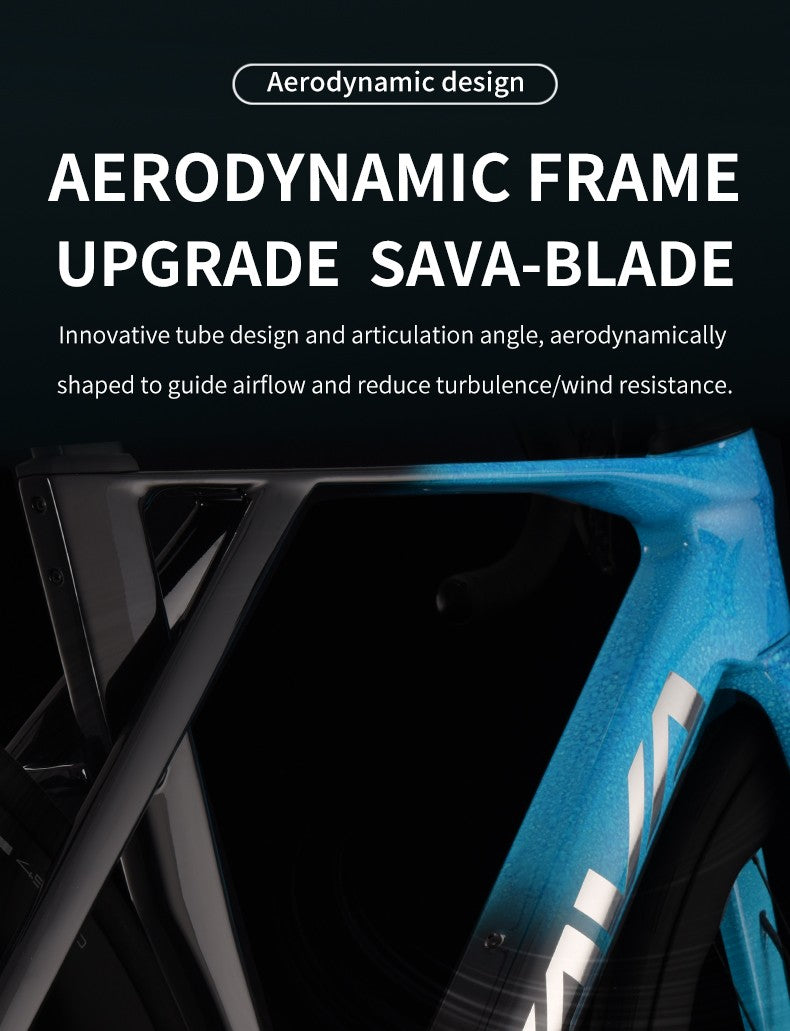 SAVA Carbon Fiber Road Bike