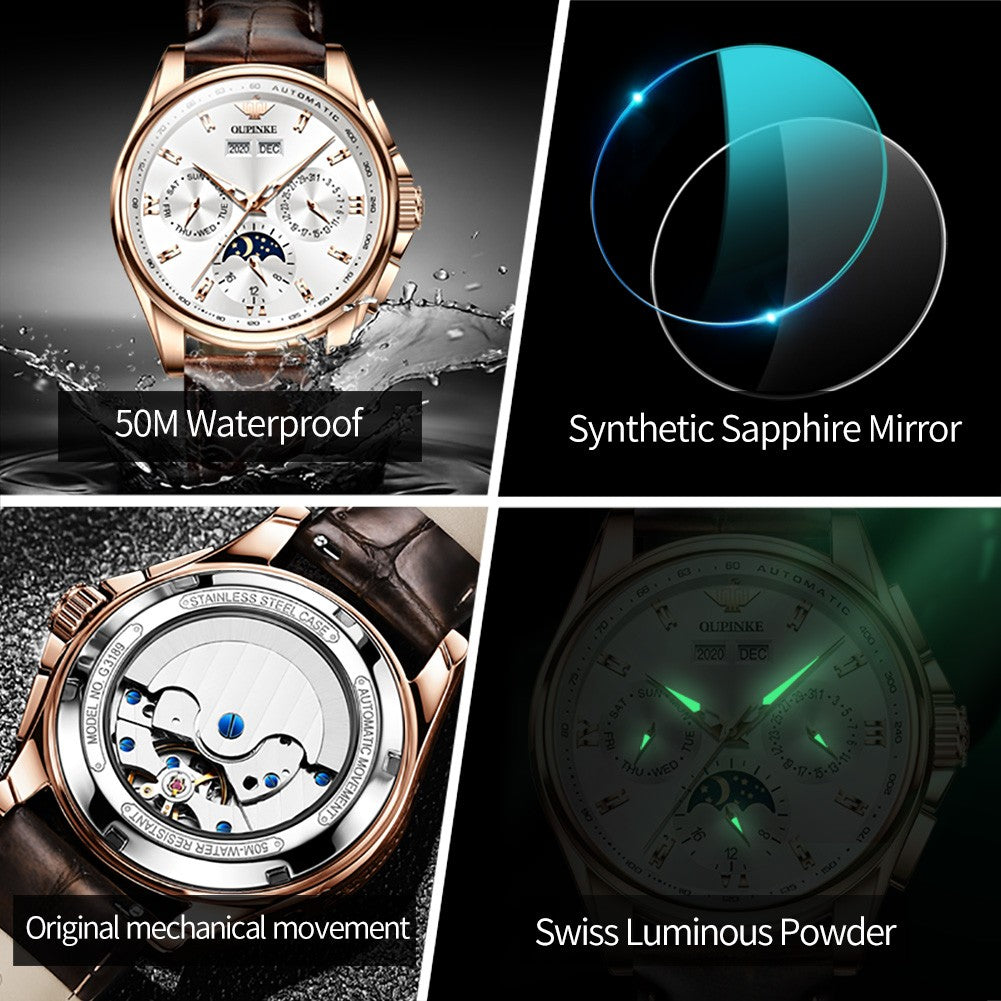OUPINKE 3189 Luxury Automatic Mechanical Watch