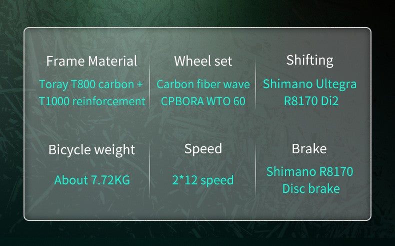 SAVA Carbon Fiber Road Bike