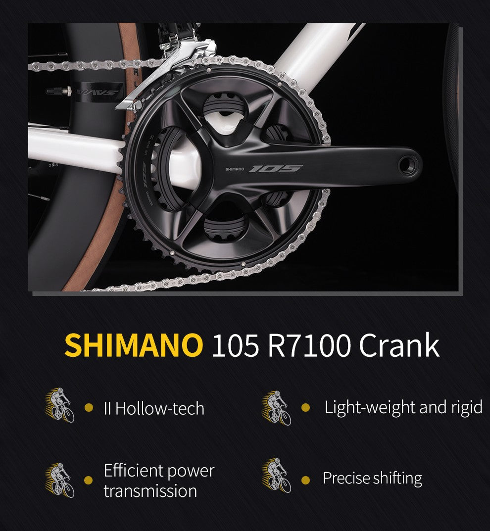 SAVA Carbon Fiber Road Bike F20