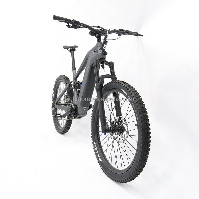 Panther: The Ultimate Carbon Fiber E-Bike