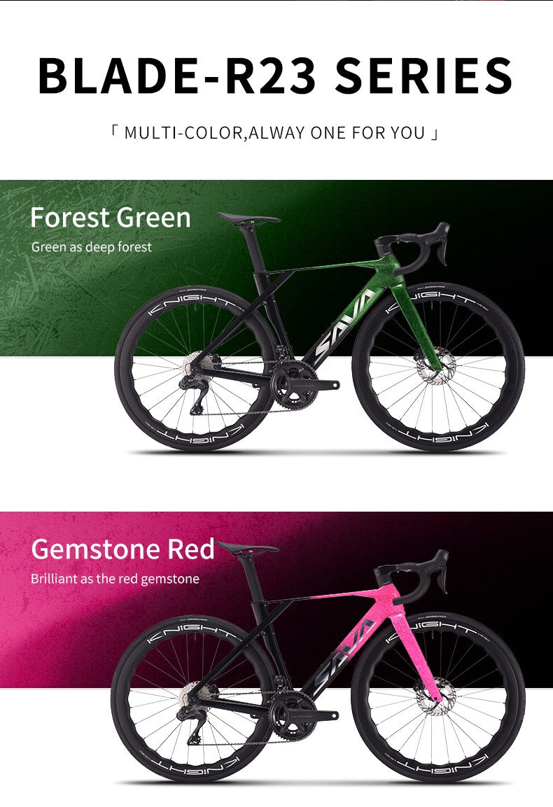 SAVA Carbon Fiber Road Bike