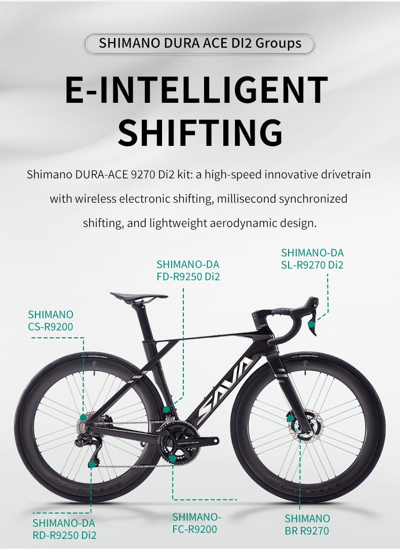 SAVA Carbon Fiber Road Bike