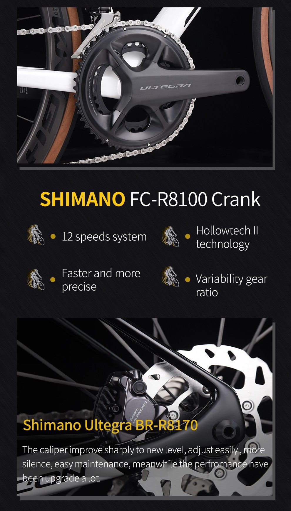SAVA Carbon Fiber Road Bike with Shimano Ultegra Di2
