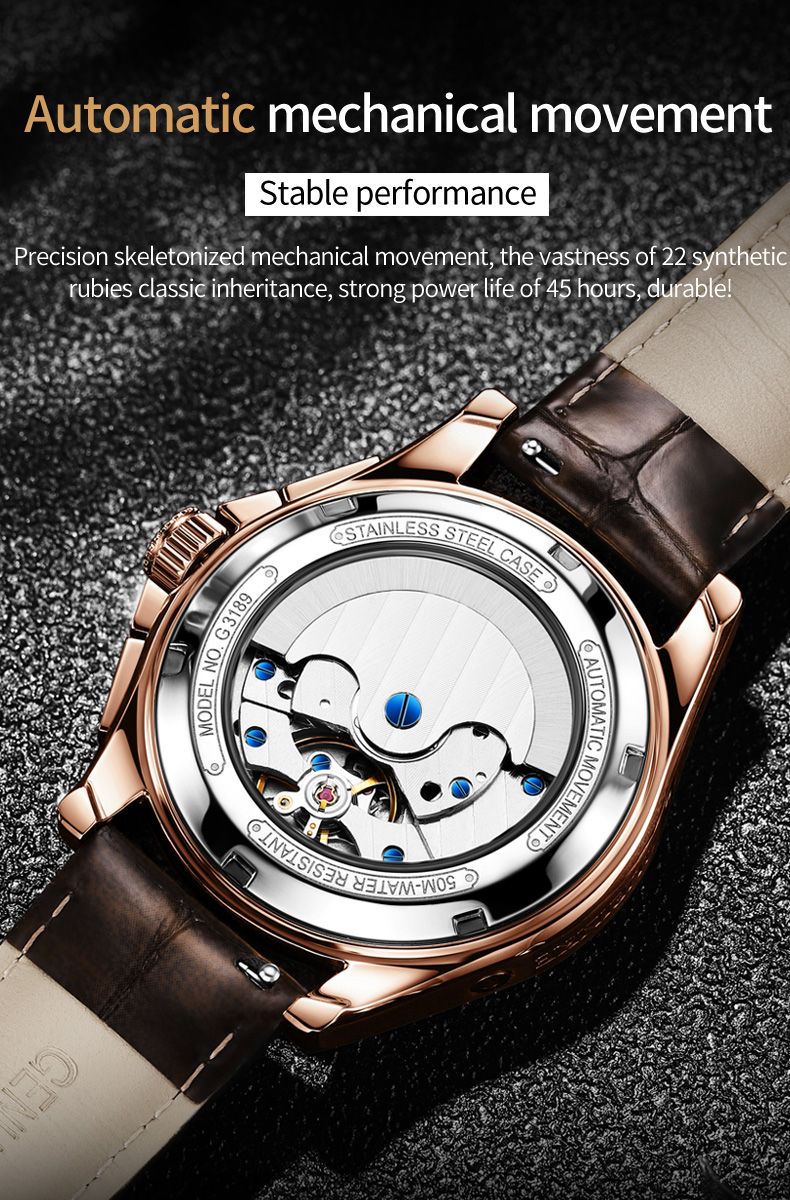 OUPINKE 3189 Luxury Automatic Mechanical Watch