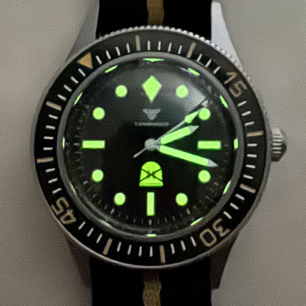 Tandorio Automatic Diver Watch: Sapphire Crystal & 200M