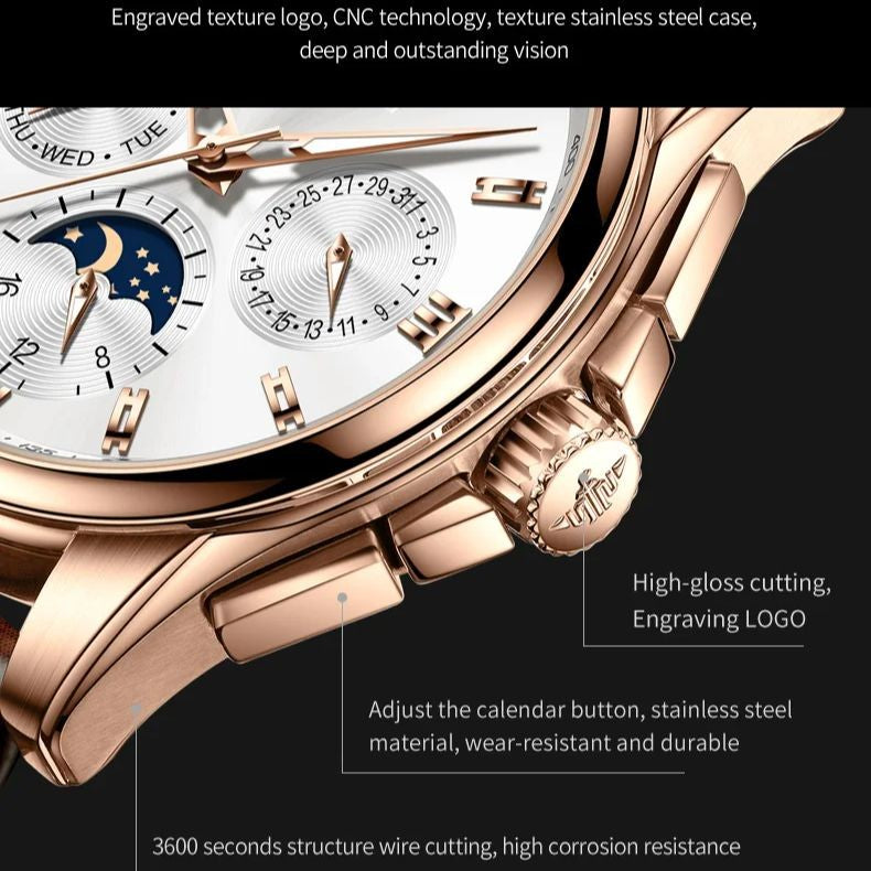 OUPINKE 3189 Luxury Automatic Mechanical Watch