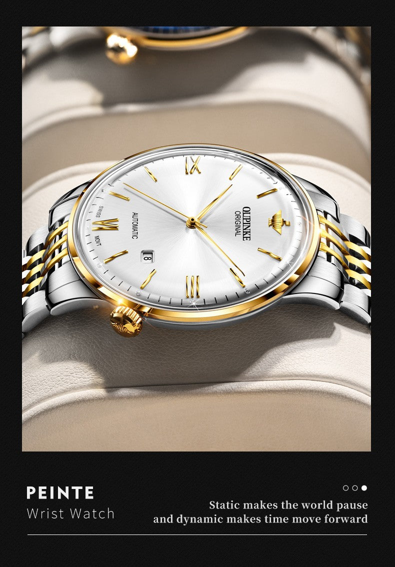 OUPINKE 3269 Luxury Mechanical Watch