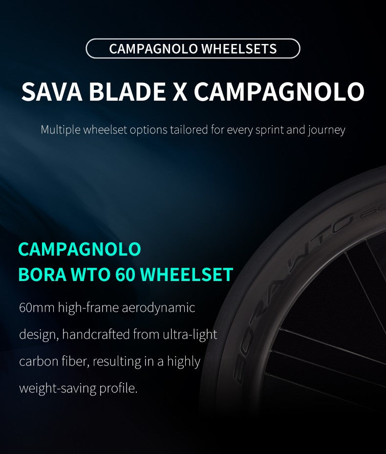 SAVA Carbon Fiber Road Bike