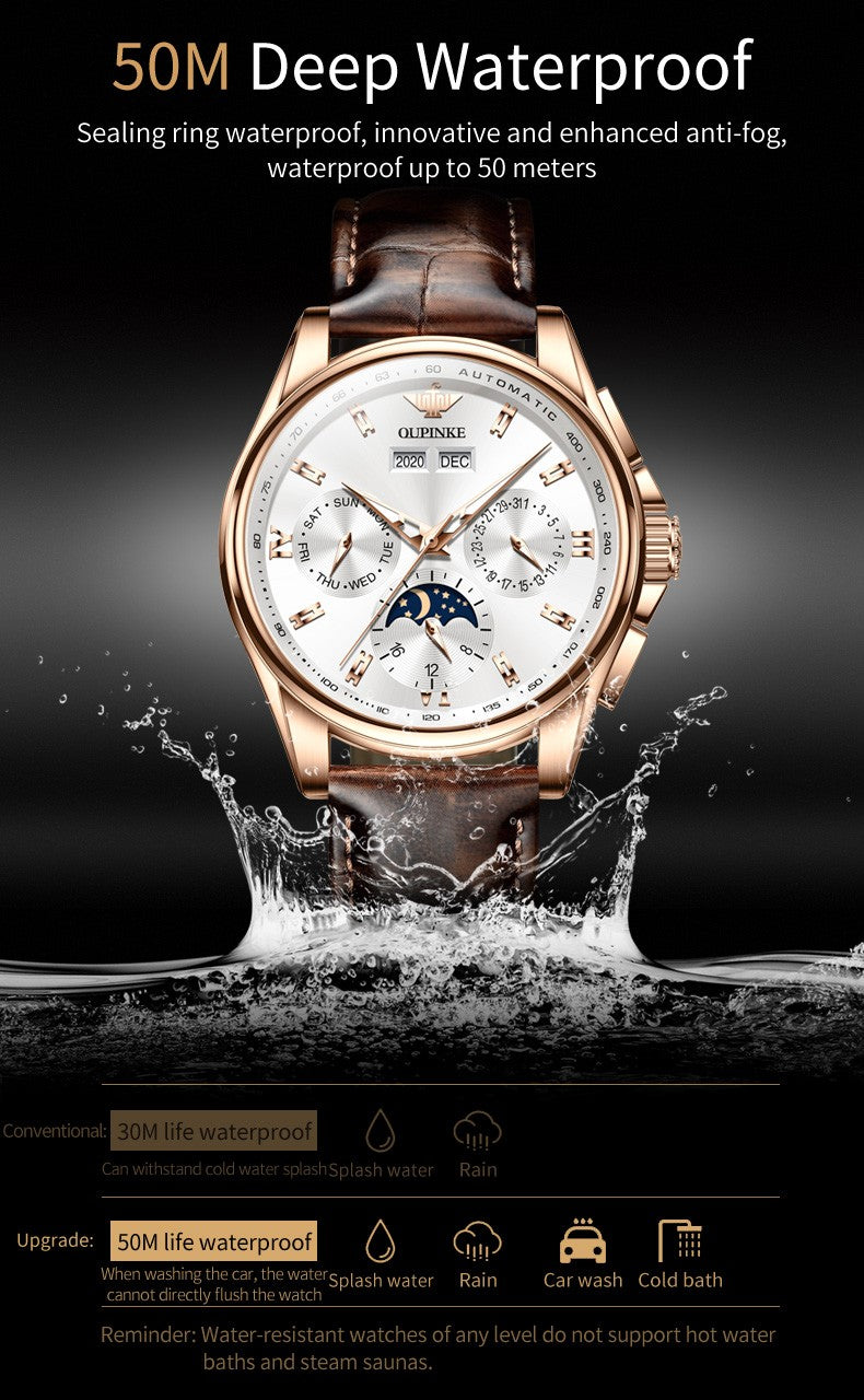 OUPINKE 3189 Luxury Automatic Mechanical Watch