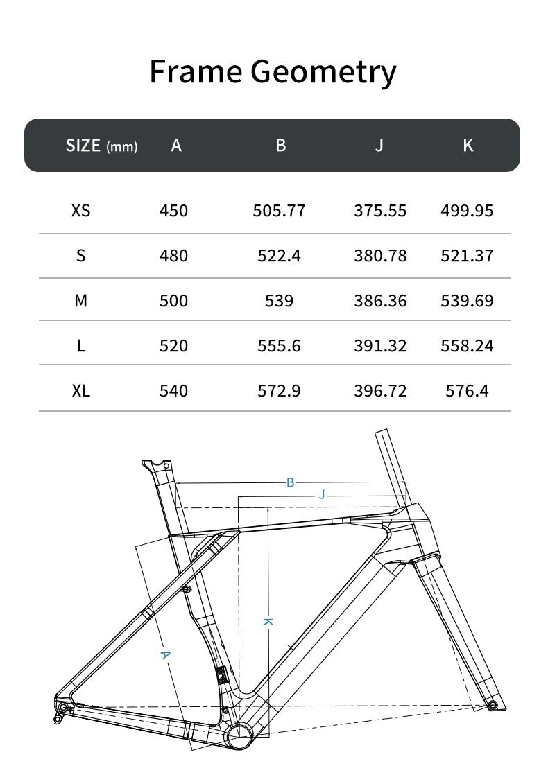 SAVA Carbon Fiber Road Bike