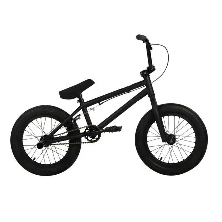 YTYIN 20" BMX Freestyle Bike
