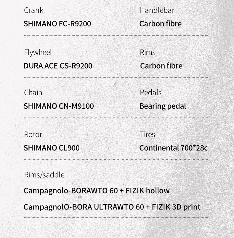 SAVA Carbon Fiber Road Bike