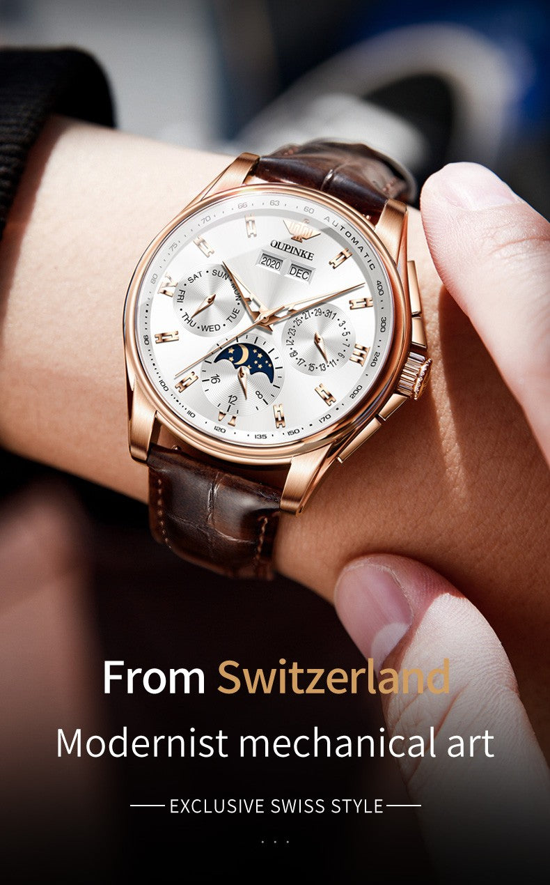 OUPINKE 3189 Luxury Automatic Mechanical Watch