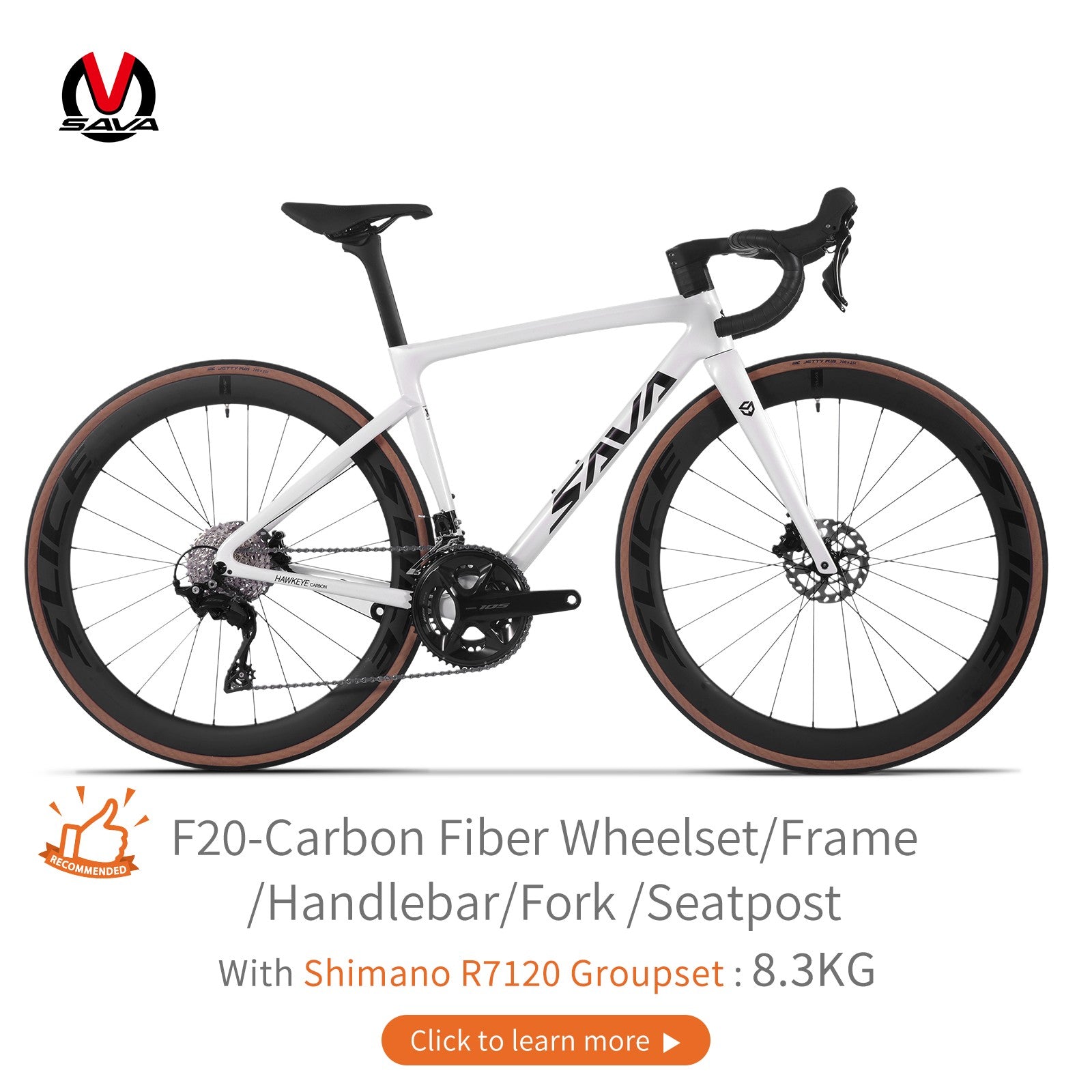 SAVA Carbon Fiber Road Bike F20