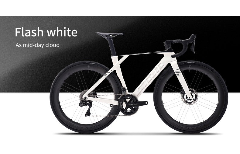 SAVA Carbon Fiber Road Bike