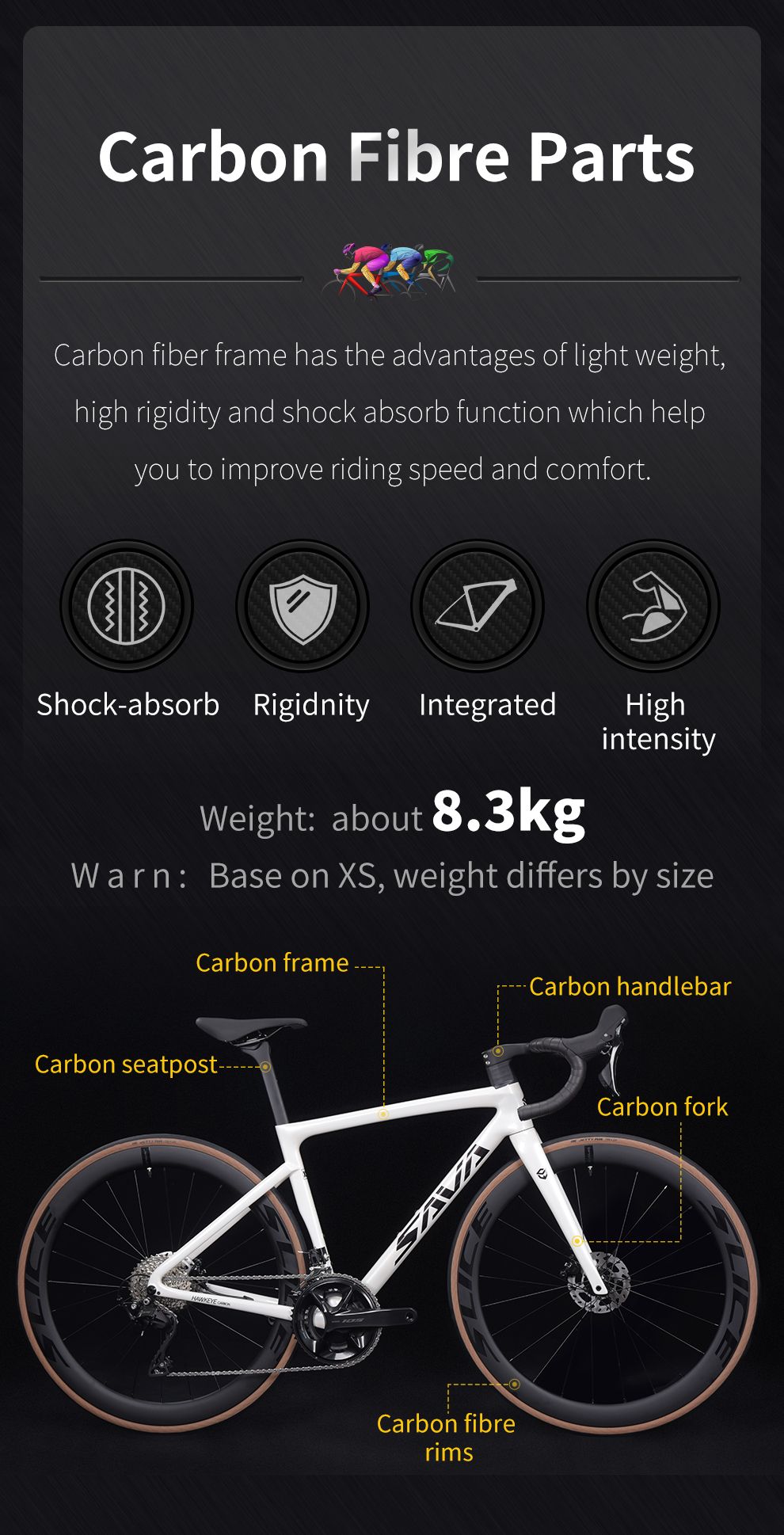 SAVA Carbon Fiber Road Bike F20
