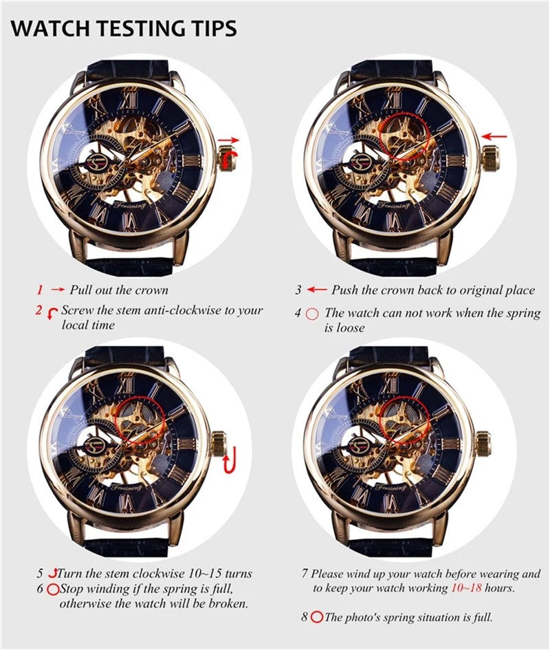 PAGANI DESIGN PD-YS014 Luxury Automatic Mechanical Watch