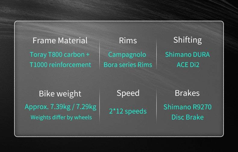 SAVA Carbon Fiber Road Bike