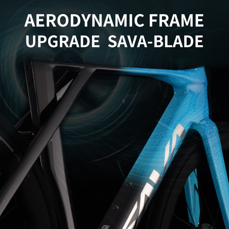SAVA Carbon Fiber Road Bike