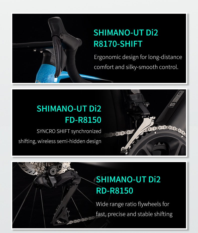 SAVA Carbon Fiber Road Bike