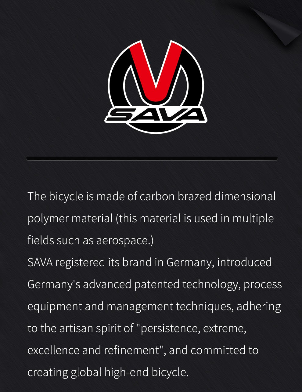 SAVA Carbon Fiber Road Bike F20