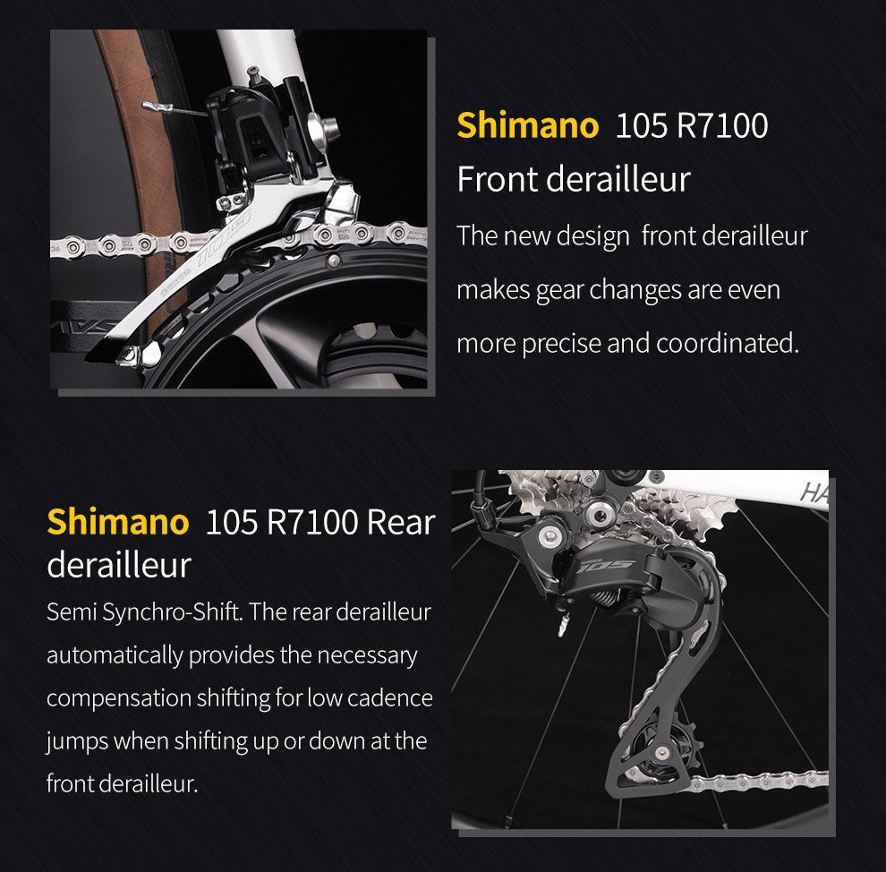 SAVA Carbon Fiber Road Bike F20