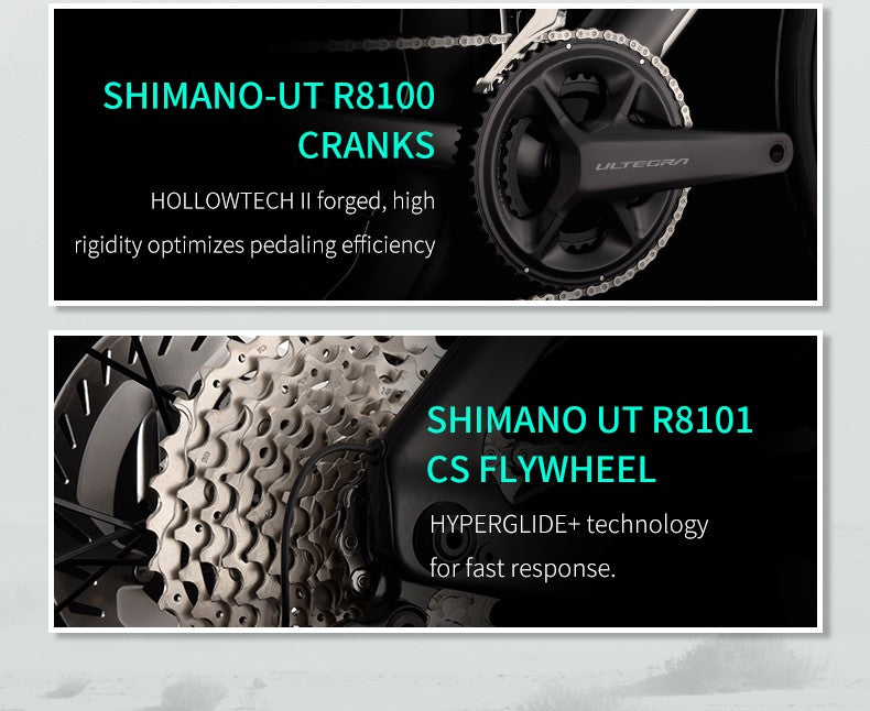 SAVA Carbon Fiber Road Bike