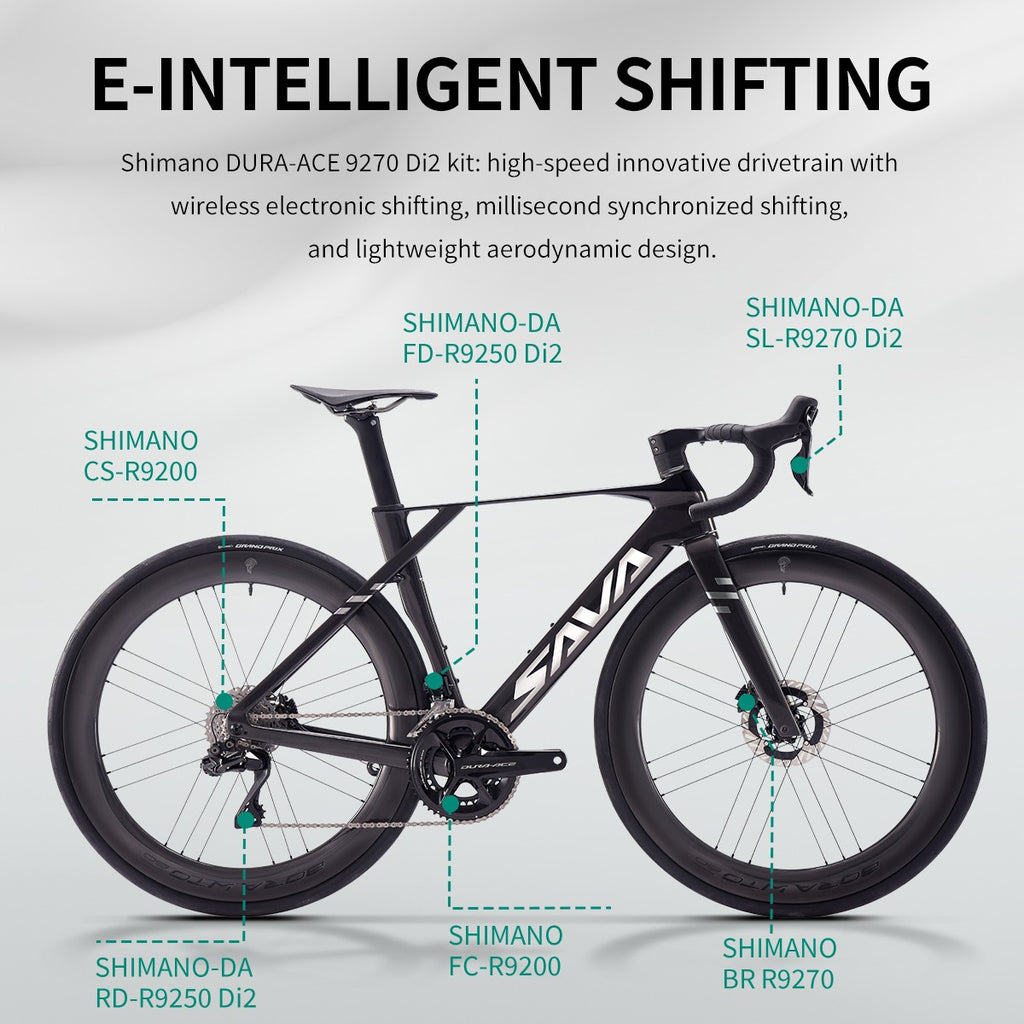 SAVA Carbon Fiber Road Bike