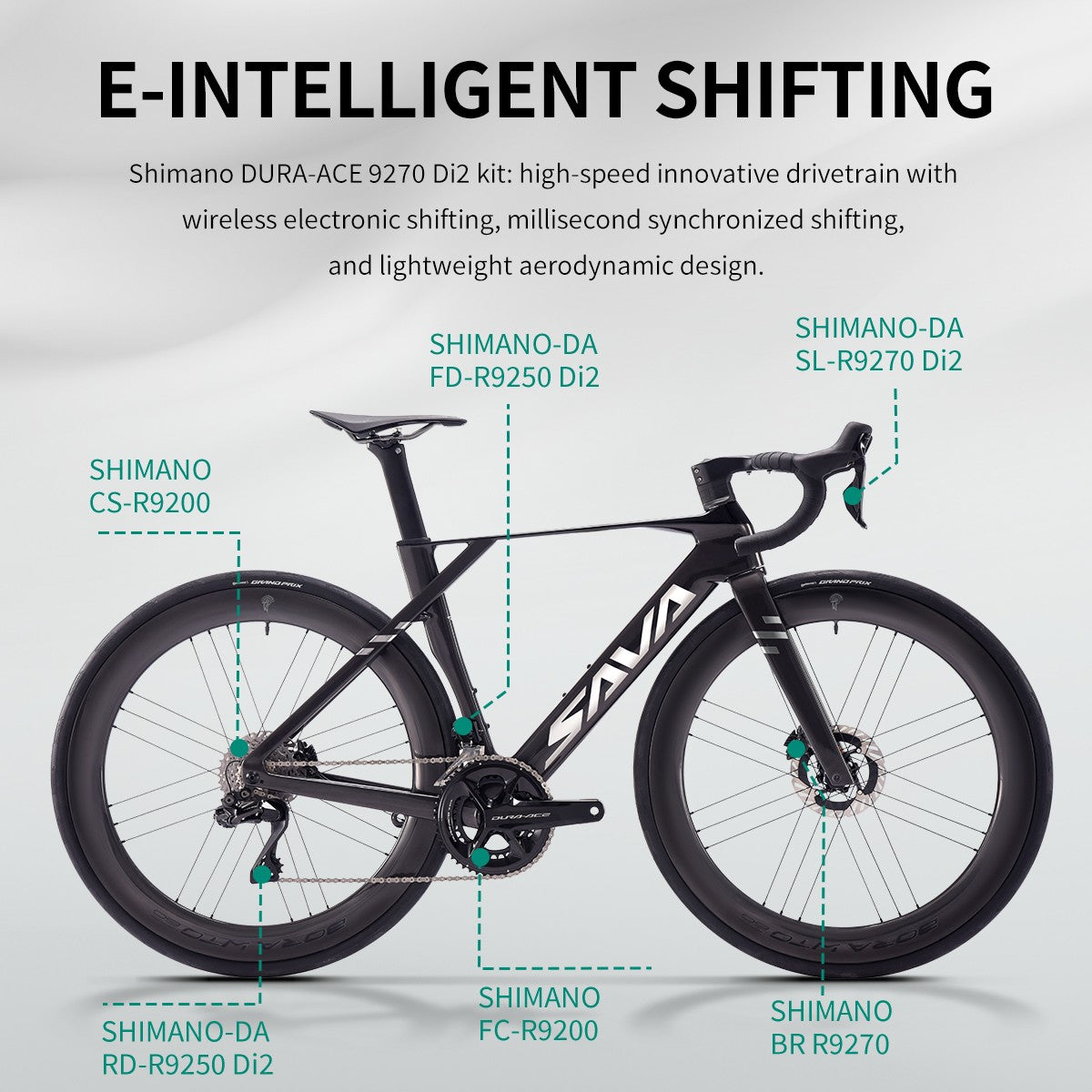 SAVA Carbon Fiber Road Bike