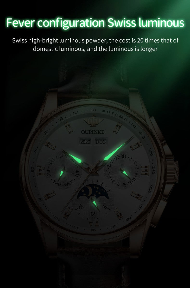 OUPINKE 3189 Luxury Automatic Mechanical Watch