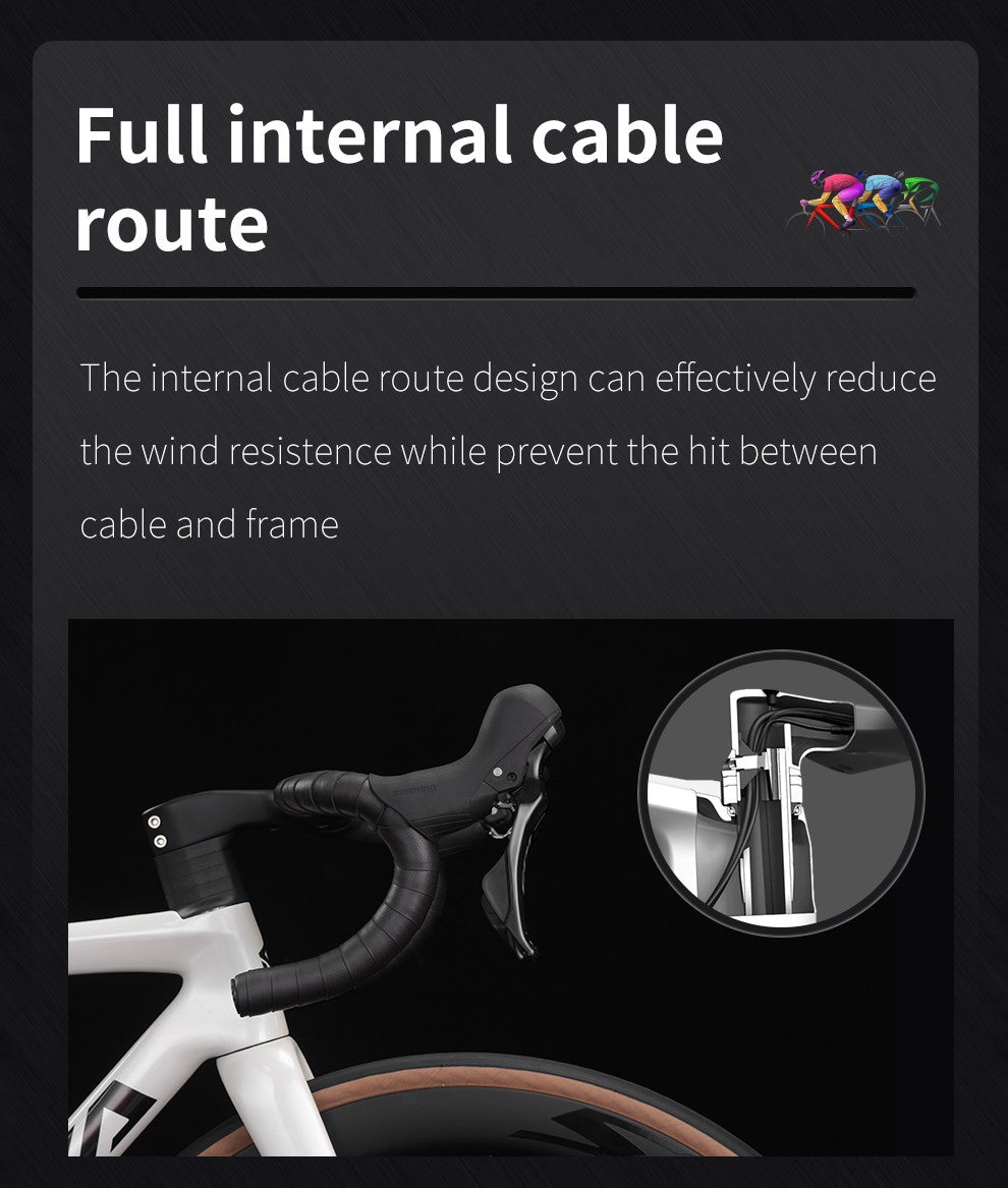SAVA Carbon Fiber Road Bike F20